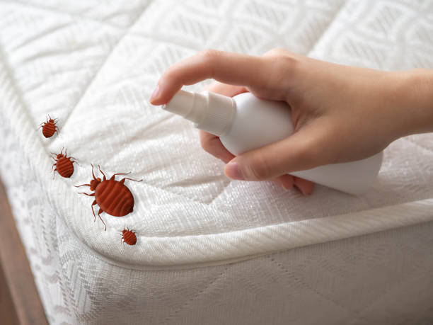Pest Control for Restaurants in Glasgow Village, MO
