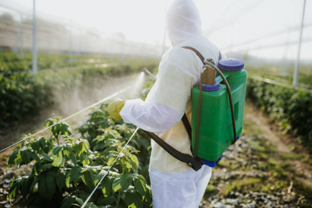 Best Insect Control  in Glasgow Village, MO